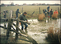 Akela takes Bronze Arrow cubs to undertake a Pond Survey