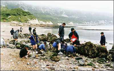 Cub Scouts looking in the rock pools at Folkestone