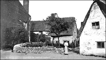 View of South St. before the Fire of 1905