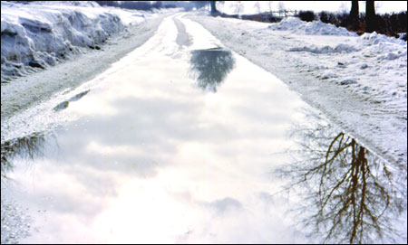 Refections - in a pool on the road between Castlethorpe & Hanslope