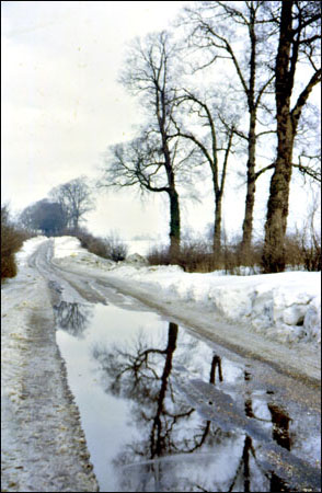 View along the road between Castlethorpe & Hanslope  near the entrance to Balney Grounds