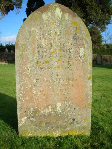 Wood, Sarah Ellen; 1895.