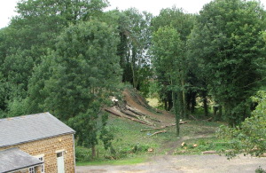 Bury Mount, trees