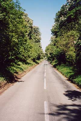 The Thornton Road 2002 with the Chestnut trees in blossom.
