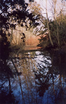 2003. Duckpond II from the river.