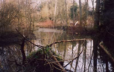 2003. Duckpond II running to the Leat