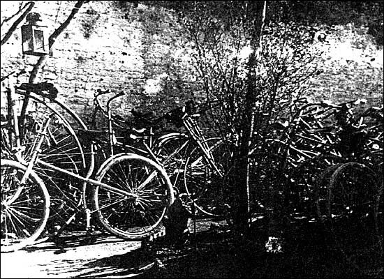 Bicycles outside Mr Tuckey's house in Towcester