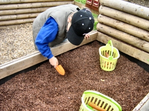 Hunting for fossils