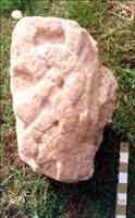 Image of an anglo saxon stone