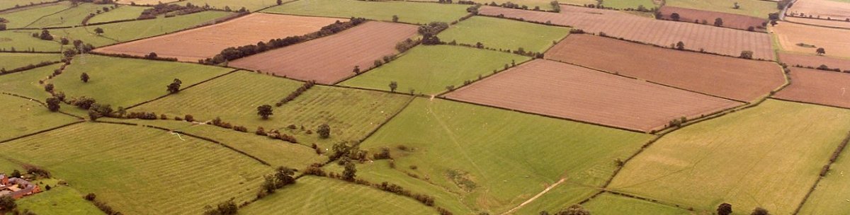Calverton's field patchwork