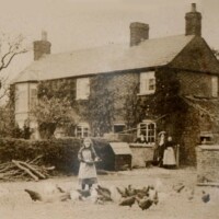 Feeding the chickens at Common Farm in 1908 Feeding the chickens at Common Farm in 1908