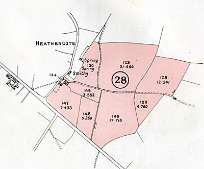 Lot 28 - Estate Sale 1920