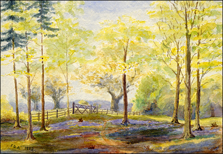 The Whittlewood Forest Allotment map 1856