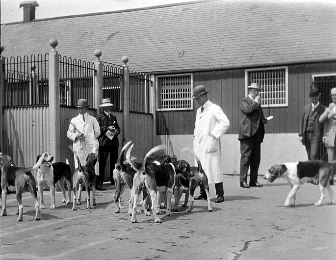 1911, The Duke of Beccleuch judging.