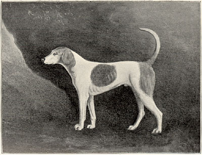 cartoon of fox 'mousing'