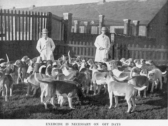 Excercise is necessary on off days.