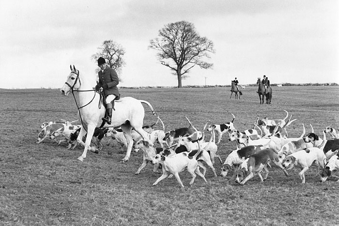 Tom Normington, Huntsman