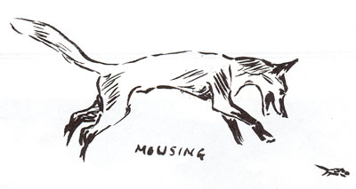 cartoon of fox 'mousing'