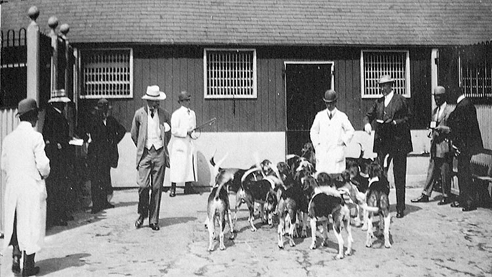 1911, The Duke of Beccleuch judging.