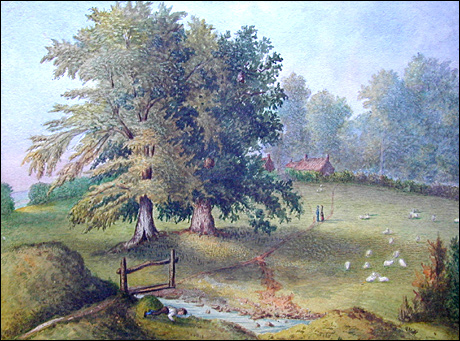From Mr. Roper's field Grafton regis Oct.10th. 1876 (boy lookig into stream)