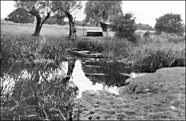 A punt on the river bank