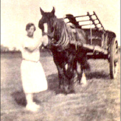 Evelyn May Pateman with hay cart on John Webb's Farm opposite the Globe c.1930
