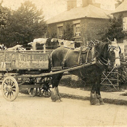 William Willingham
delivering coal outside 55 Newport Road c.1930