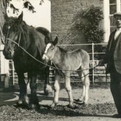 Harry Geary with mare and foal at Tathall End Farm c.1935.