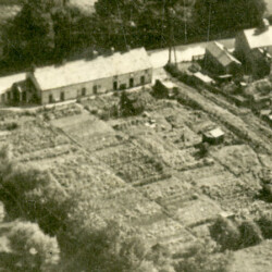 2-8 Park Road c.1940. Demolished for building of Weavers End houses in the 1970s.
