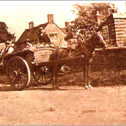 Potato delivery going to Rookery View from Brent allotments c.1925