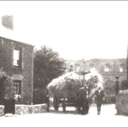 Straw being taken to the small cottage in Church Walk to rethatch the roof c.1947