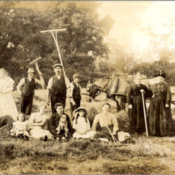 Willingham family haymaking behind their house in the High Street where St James Close is now. c.1910
HSHS archive