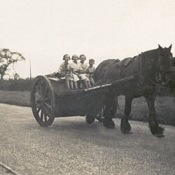 Harry King's children on the night cart in Newport Road