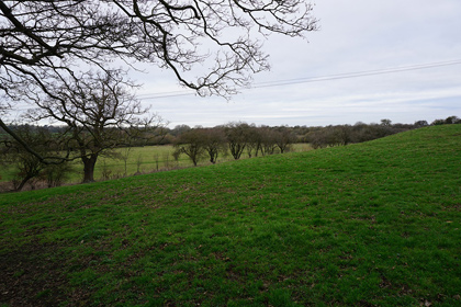 Wulfhere’s Tun - a local history walk