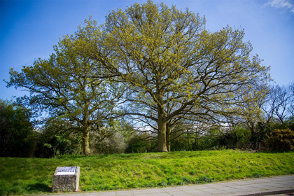 Secklow Hundred Mound - Milton Keynes' ancestral meeting place
