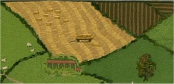 Bales in the field