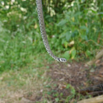 Male grass snake