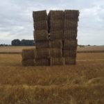 Straw bales