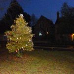 Decorated tree at night