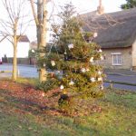 Decorated tree on The Knoll