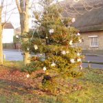 Decorated tree on The Knoll