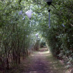 Wedding Tunnel