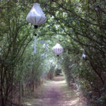 Wedding Tunnel