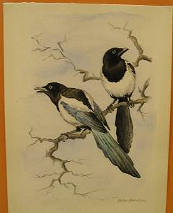 Painting by Helen Harrison