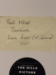 Notes on Paul Mann's painting - Jamaica