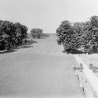 Grassed North Avenue