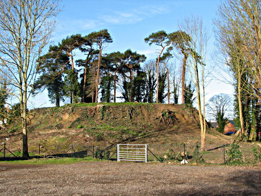 Most trees removed, March 2007