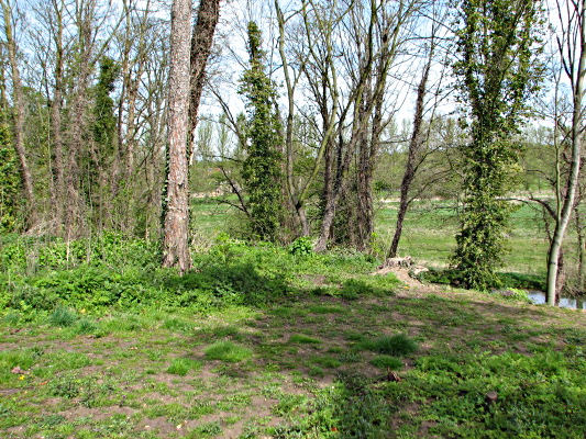 View north east, April 2008.