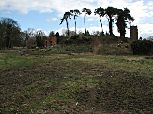The mill and Church tower visible, March 2009