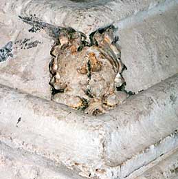 Carved spray of oak-leaves with acorns